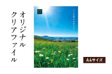 オリジナルクリアファイルをデザイン・入稿します（A4サイズ・オリジナルのデザイン）