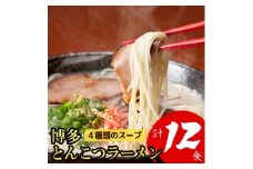 博多とんこつラーメン 12食分！4種類の博多豚骨スープ付き ラーメン