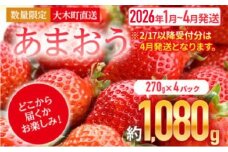 【アフター保証】いちご あまおう 大木町 約270g×4パック 合計1080g 【2026年1月～3月に順次出荷予定】 イチゴ あかい まるい おおきい うまい CB223
