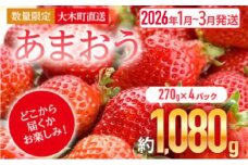 【アフター保証】いちご あまおう 大木町 約270g×4パック 合計1080g 【2026年1月～3月に順次出荷予定】 イチゴ あかい まるい おおきい うまい CB223