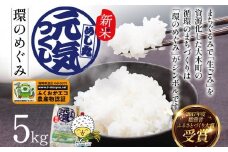 令和6年度米 特別栽培米「環のめぐみ」　精米5ｋｇ おすすめ 福岡県 大木町 AI001-1