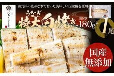 うなぎの白焼（1尾）頭付き180g以上　AE02