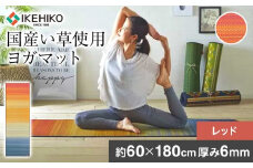 畳ヨガJAPAN　ジョイ（60×180）（レッド）　AA050