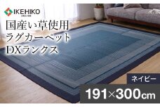 ＤＸランクス（191×300）（色：ネイビー）　AA175