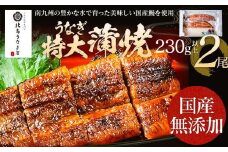 うなぎの特大蒲焼（2尾）230g以上×2尾　AE04