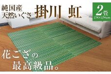 純国産天然いぐさ　「掛川　虹」２畳（緑色）　BG007