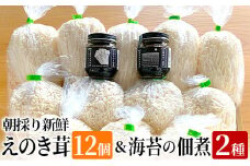 朝採り新鮮えのき茸と海苔の佃煮2種のセット　BF02