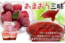 あまおう三昧（フローズンあまおう、あまおうピューレ、あまおうコンフィチュール） BD04
