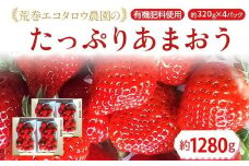荒巻エコタロウ農園のたっぷりあまおう約320g×4パック BJ02