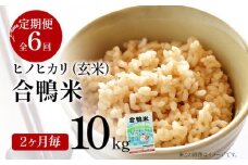 令和7年産 新米予約 合鴨米「ヒノヒカリ」（玄米・10kg）定期便6回コース 数量限定 ※令和7年10月スタートの定期便 BI05