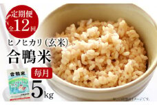 令和7年産 新米予約 合鴨米「ヒノヒカリ」（玄米・5kg）定期便12回コース 数量限定 ※令和7年10月スタートの定期便 BI06