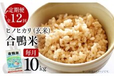 令和7年産 新米予約 合鴨米「ヒノヒカリ」（玄米・10kg）定期便12回コース 数量限定 ※令和7年10月スタートの定期便 BI07
