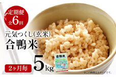令和7年産  新米予約 合鴨米「元気つくし」（玄米・5kg）定期便6回コース 数量限定 ※令和7年10月スタートの定期便 BI10