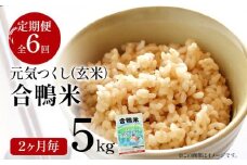 令和7年産  新米予約 合鴨米「元気つくし」（玄米・5kg）定期便6回コース 数量限定 ※令和7年10月スタートの定期便 BI10