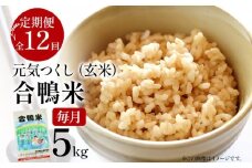 令和7年産 新米予約 合鴨米「元気つくし」（玄米・5kg）定期便12回コース　数量限定 ※令和7年10月スタートの定期便 BI11