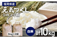 【令和5年産】 福岡県 大木町産 元気つくし 10kg　BC02