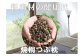 桐箪笥の職人が本気で作った「桐焼つぶ枕 」