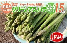 【訳あり】【規格外】 アスパラガス 夏芽 2L～S 1.5kg【6月から8月お届け】 BT08