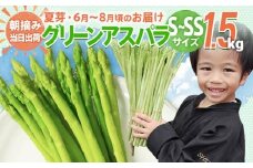 アスパラガス 夏芽 S～SS 1.5kg【6月から8月お届け】 BT09