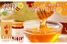 国産蜂蜜ギフト 1,000g　白ラベル　CD01