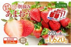 朝摘みあまおう約270g×6パック ※2026年3月中順次出荷予定 BD05