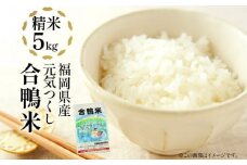 令和7年産 新米予約 合鴨米「元気つくし」（精米・5kg）数量限定 BI08