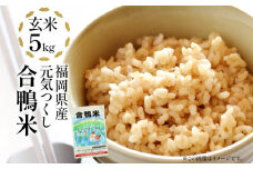 令和7年産 新米予約 合鴨米「元気つくし」（玄米・5kg）数量限定 BI09