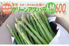 アスパラガス 夏芽 LM 600g【6月から8月お届け】BT11