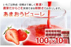 あまおうピューレ100g×10個　BD09