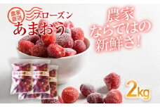 フローズンあまおう2kg(500g×4袋)　BD11