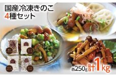 冷凍きのこセット250g×4（博多すぎたけ・しめじ・えのき・エリンギ）　AU07