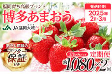 【定期便】博多あまおう 福岡県JAグループのブランドあまおういちご 1080g（約270g×4パック）×2回 ※2月・3月お届け アフター保証 いちご 博多あまおう 2025年先行予約受付 おすすめ 大木町 JA福岡大城 フルーツ 果物 AG013