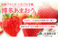 【2025年2月上旬から順次発送】