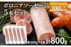 ボロニアソーセージ５本(160g×5)セット ソーセージ ボロニア 名水豚 お肉 ステーキ バーベキュー BBQ 惣菜 豚肉 ウデ肉100% お弁当 朝ごはん 朝食 おかず 福岡県 大木町 お取り寄せ 冷凍 AP14