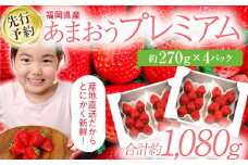 【先行予約/2026年】大木町産 あまおう いちご 約270ｇ×4パック《2026年2月以降順次発送》 イチゴ 苺 果物 おすすめ 福岡県 大木町 CL001