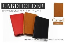 イントロ/名刺入れ（イタリアンレザー・キャメル） カードケース レディース メンズ 二つ折り カード入れ 名刺ケース カード収納 プレゼント おすすめ 福岡県 大木町 ナデルファーデン BK134