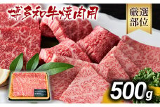 博多和牛焼肉用 500g 黒毛和牛 お取り寄せグルメ お取り寄せ お土産 九州 福岡土産 取り寄せ グルメ MEAT PLUS CP019