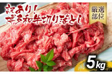 訳あり 博多和牛切り落とし 5kg 黒毛和牛 お取り寄せグルメ お取り寄せ 福岡 お土産 九州 福岡土産 取り寄せ グルメ MEAT PLUS CP033