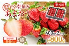 朝摘みあまおう 800g ※2026年1月中順次出荷予定 BD01-1
