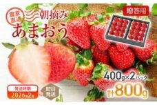 朝摘みあまおう 800g ※2026年2月中順次出荷予定 BD01-2