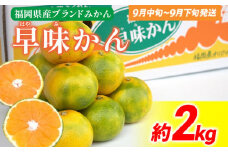 期間限定 みかん 福岡県産ブランド 「早味かん」 約2kg フルーツ 返礼品 お取り寄せグルメ お取り寄せ グルメ 果物 南国フルーツ CO016