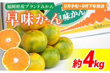 期間限定 みかん 福岡県産ブランド 「早味かん」 約4kg フルーツ 返礼品 お取り寄せグルメ お取り寄せ グルメ 果物 南国フルーツ CO017