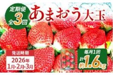【3回定期便】 期間限定 いちご あまおう 苺 イチゴ 1.6kg あまおう（大玉）、2パック×3回（1月、2月、3月）定期便 【2026年1月～3月中に順次発送】 ※北海道・沖縄・離島は配送不可 大木町産 おおきベリー CT001