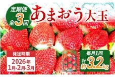 【3回定期便】 期間限定 いちご 苺 3.2kg あまおう（大玉）、4パック×3回（1月、2月、3月）定期便 【2026年1月～3月中に順次出荷予定】 ※北海道・沖縄・離島は配送不可 大木町産 おおきベリー CT002