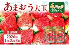 期間限定 いちご あまおう 苺 イチゴ 1kg あまおう（大玉）、4パック（270g/パック） 【2026年1月〜3月順次発送】 フルーツ 果物 くだもの 大玉 ※北海道・沖縄・離島は配送不可 大木町産 おおきベリー CT004