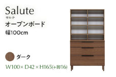 オープンボード Salute サルテ 幅100cm DK ダーク ブラウン 家具 収納 書棚 本棚 完成品 【北海道・東北・沖縄・離島不可】CN019-DK