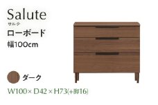ローボード Salute サルテ 幅100cm DK ダーク ブラウン 家具 収納 書棚 本棚 完成品 【北海道・東北・沖縄・離島不可】CN020-DK