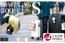 [PROEVO]ファスナーキャリー スーツケース ストッパー付き 機内持ち込み Sサイズ (エンボス/ガンメタリック) [10002S] 福岡県 大木町 株式会社 レクサス AY335
