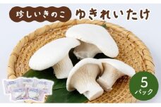 珍しいきのこ ゆきれいたけ AT19