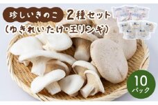 珍しいきのこ2種セット(ゆきれいたけ5パック・王リンギ5パック)  AT20